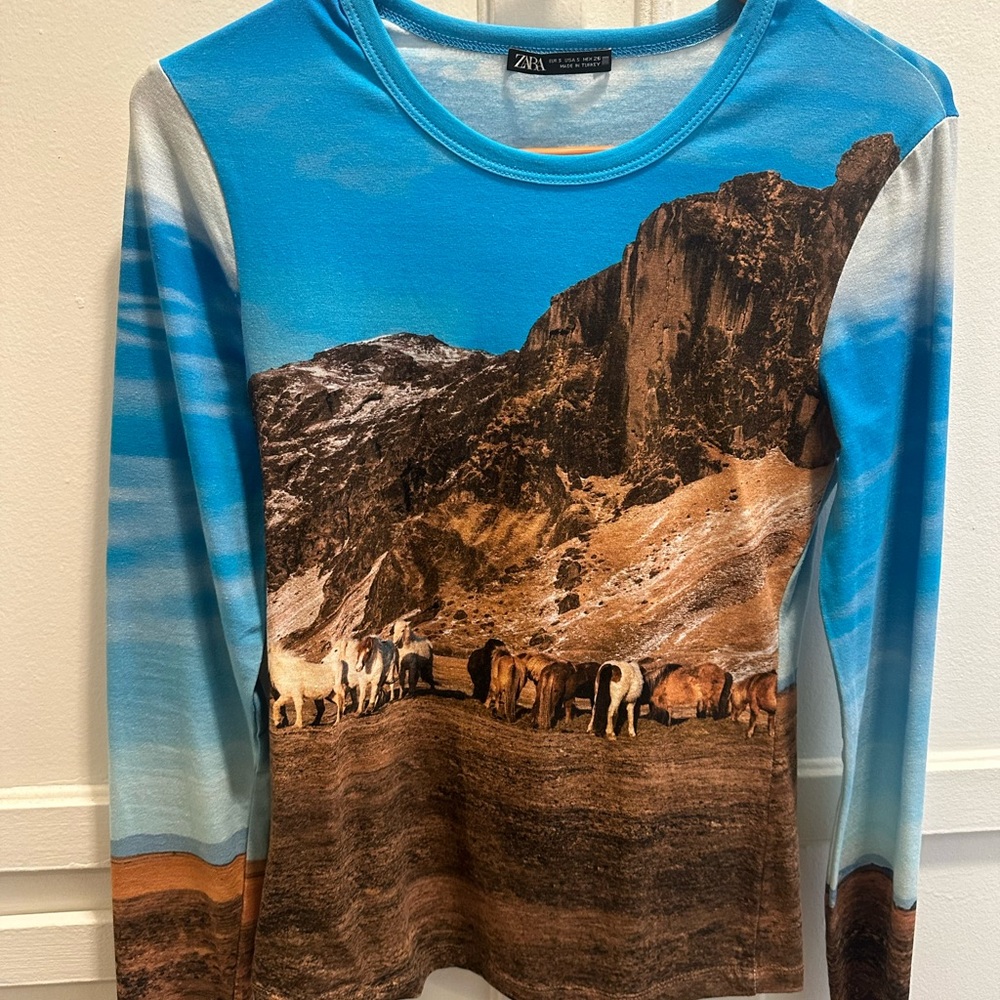 Zara blue and brown horse top